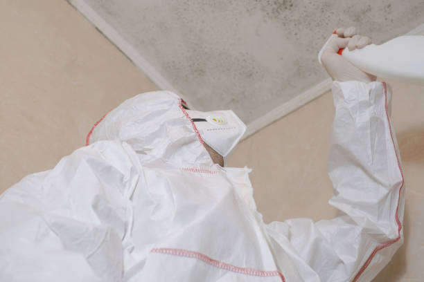 Best Industrial Mold Remediation in Upland, IN